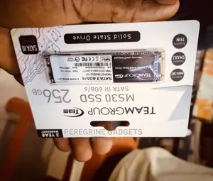 Ms30 SSD 256gb Portable Drive