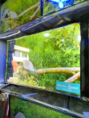 Hisense 50inch Smart