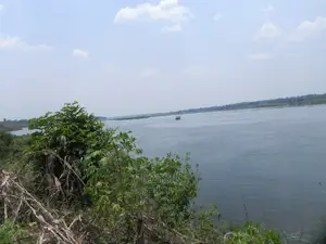 2.1 Acres Along the Nile for Sale at 75m, Matumu_ Kamuli