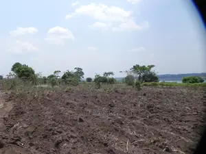2.1 Acres Along the Nile for Sale at 75m, Matumu_ Kamuli