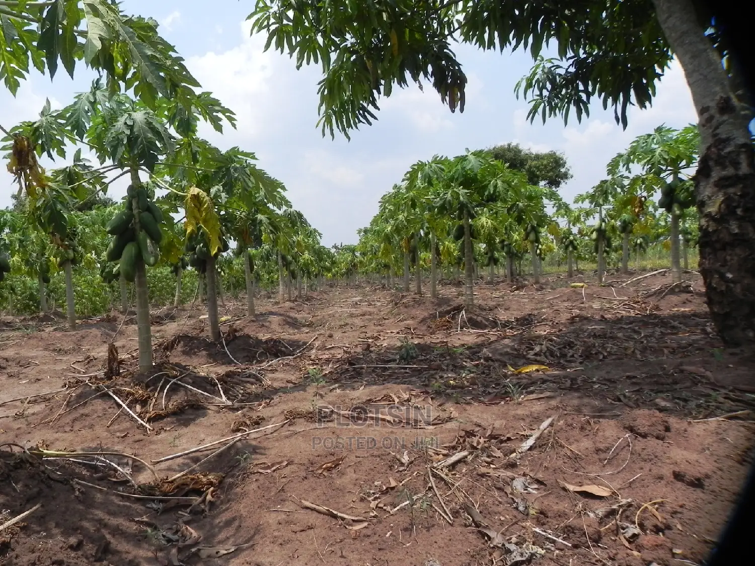 2.1 Acres Along the Nile for Sale at 75m, Matumu_ Kamuli
