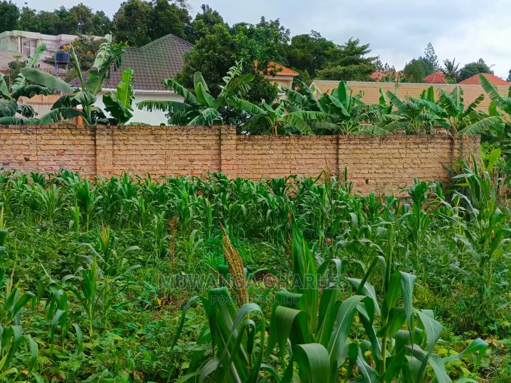 100by50ft Plot for Sale at Kyanja Kungu