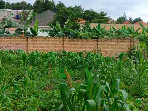 100by50ft Plot for Sale at Kyanja Kungu