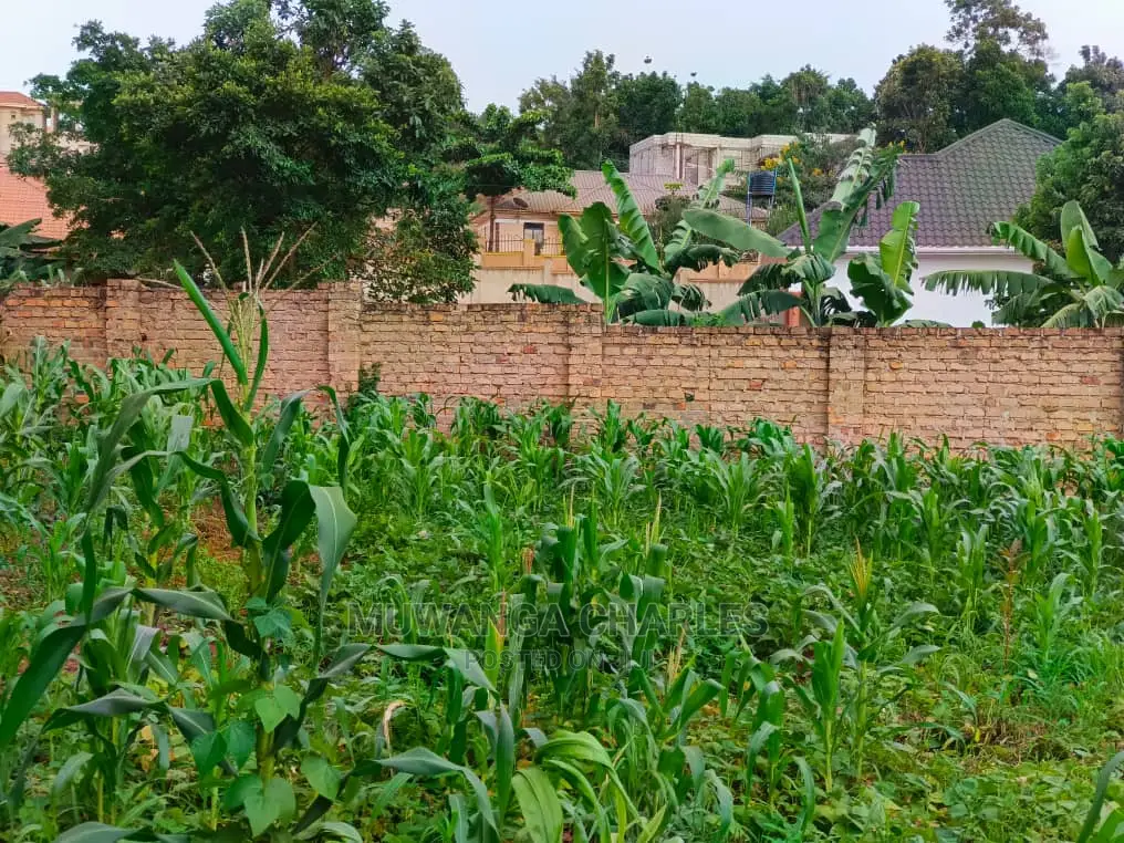100by50ft Plot for Sale at Kyanja Kungu