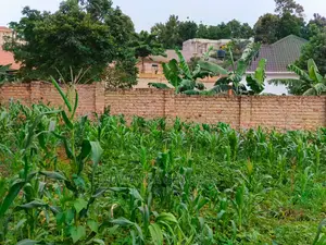 100by50ft Plot for Sale at Kyanja Kungu