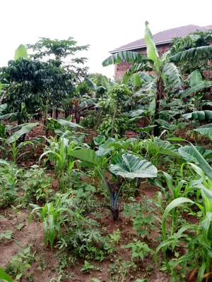 100by50ft Plot in Gayaza Nakwero for Sale