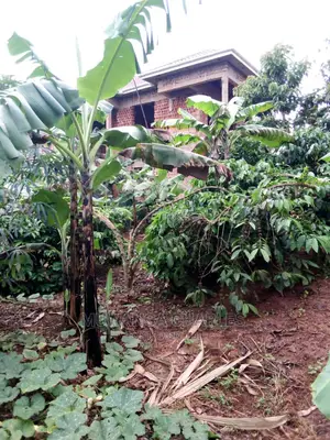 100by50ft Plot in Gayaza Nakwero for Sale