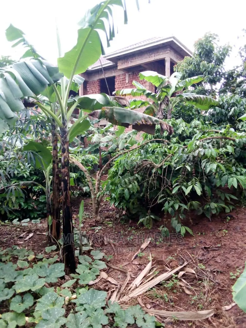 100by50ft Plot in Gayaza Nakwero for Sale