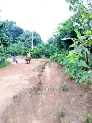 100by50ft Plot in Gayaza Nakwero for Sale
