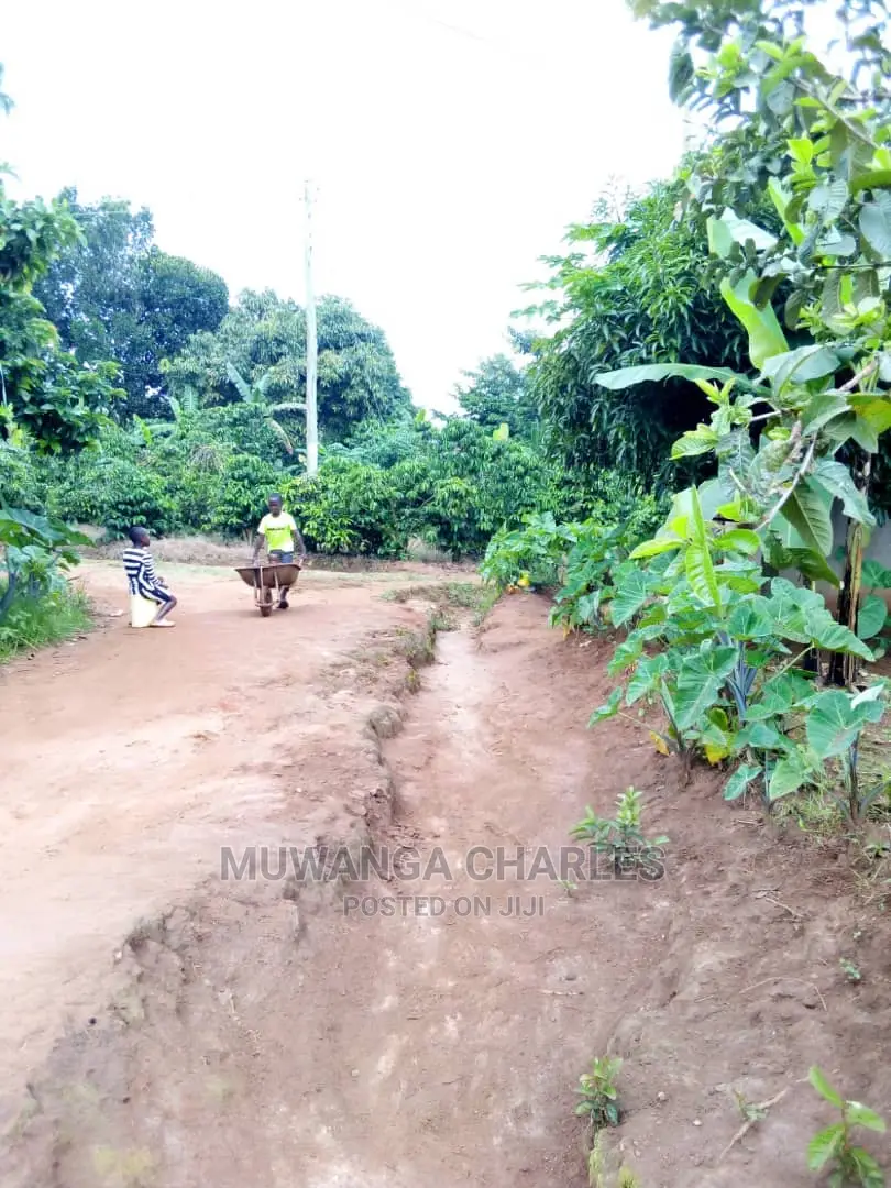 100by50ft Plot in Gayaza Nakwero for Sale