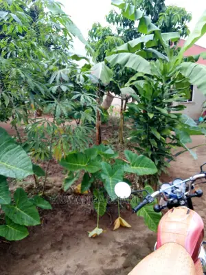 100by50ft Plot in Gayaza Nakwero for Sale