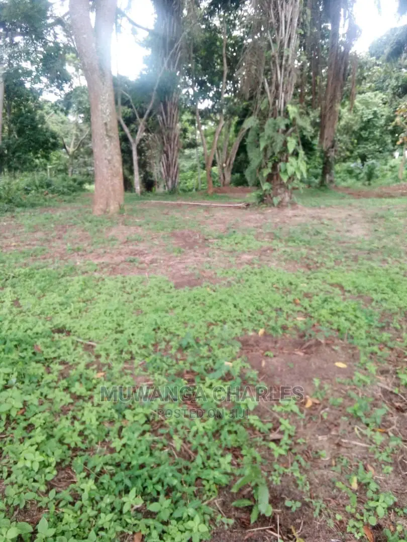 100by50ft Plot in Gayaza Nakwero for Sale