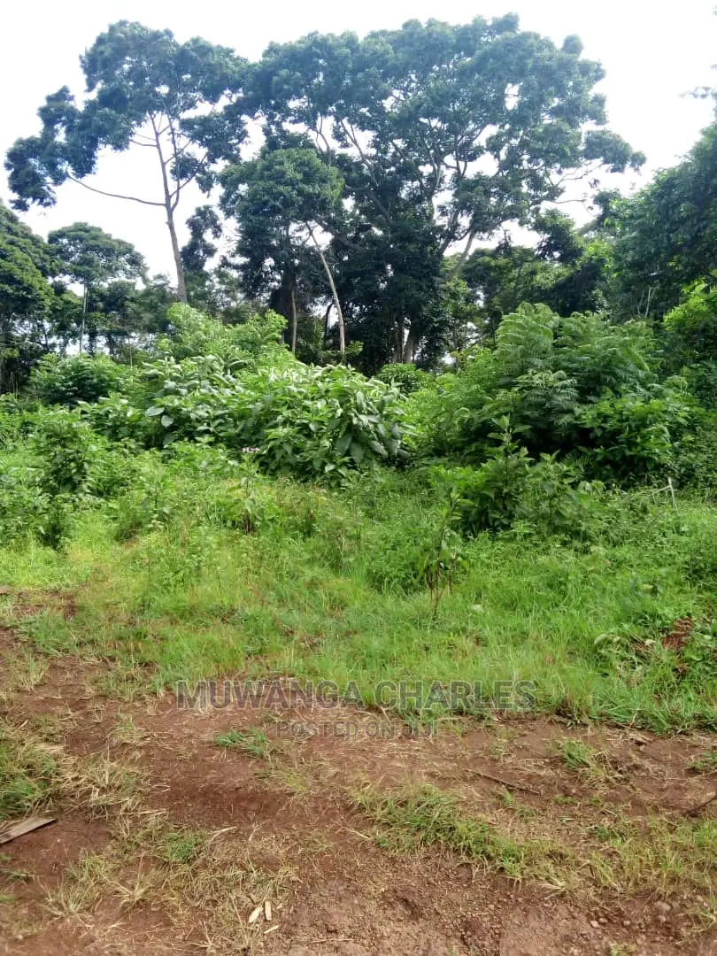 100by50ft Plot in Gayaza Nakwero for Sale