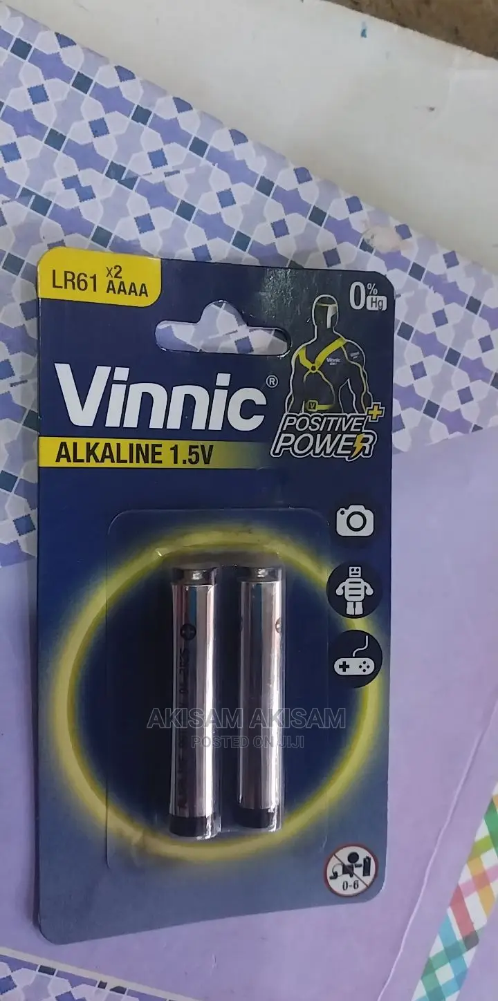Vinnic Batteries