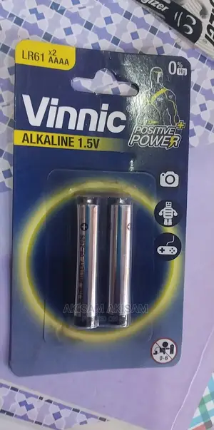Vinnic Batteries