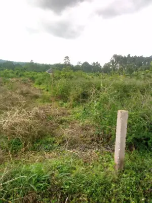 100by50ft Plot in Buwate