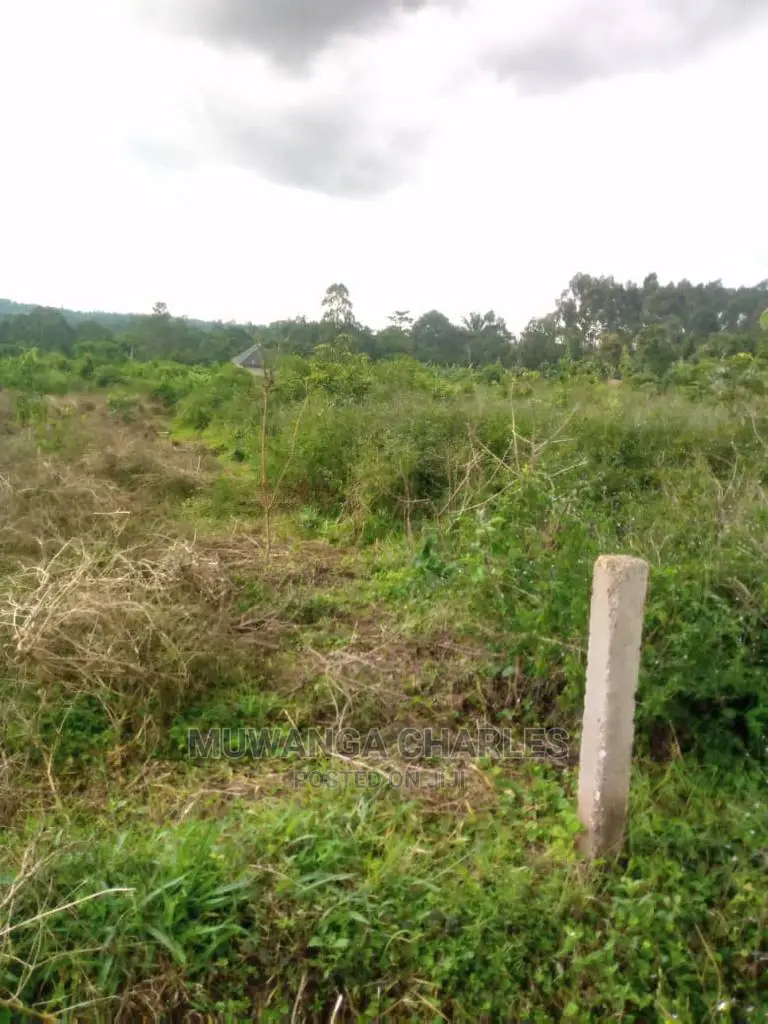 100by50ft Plot in Buwate