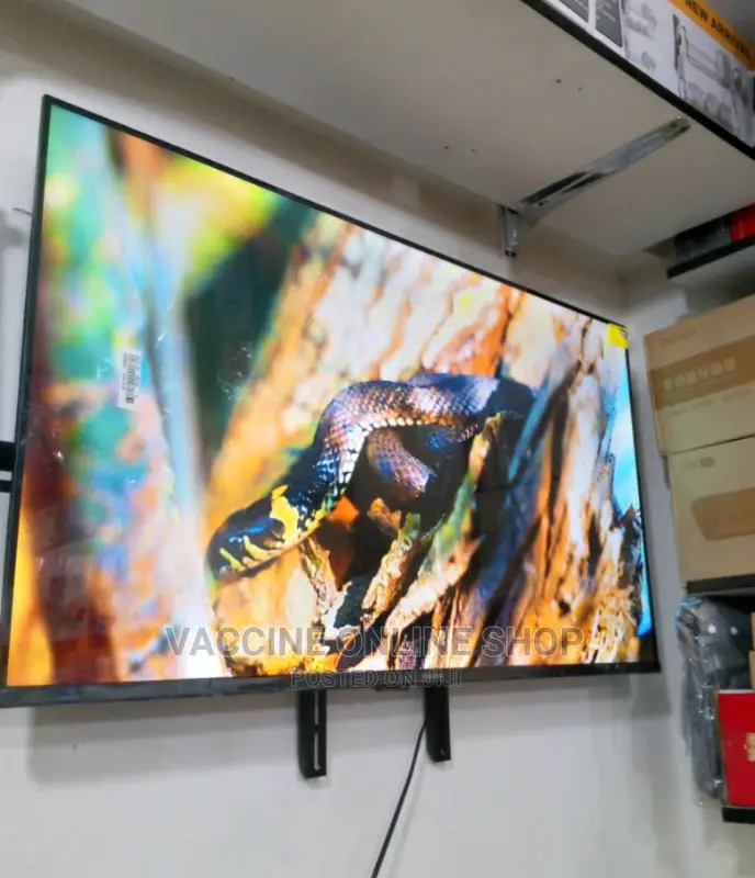 Hisense 58inch Smart Tv:1