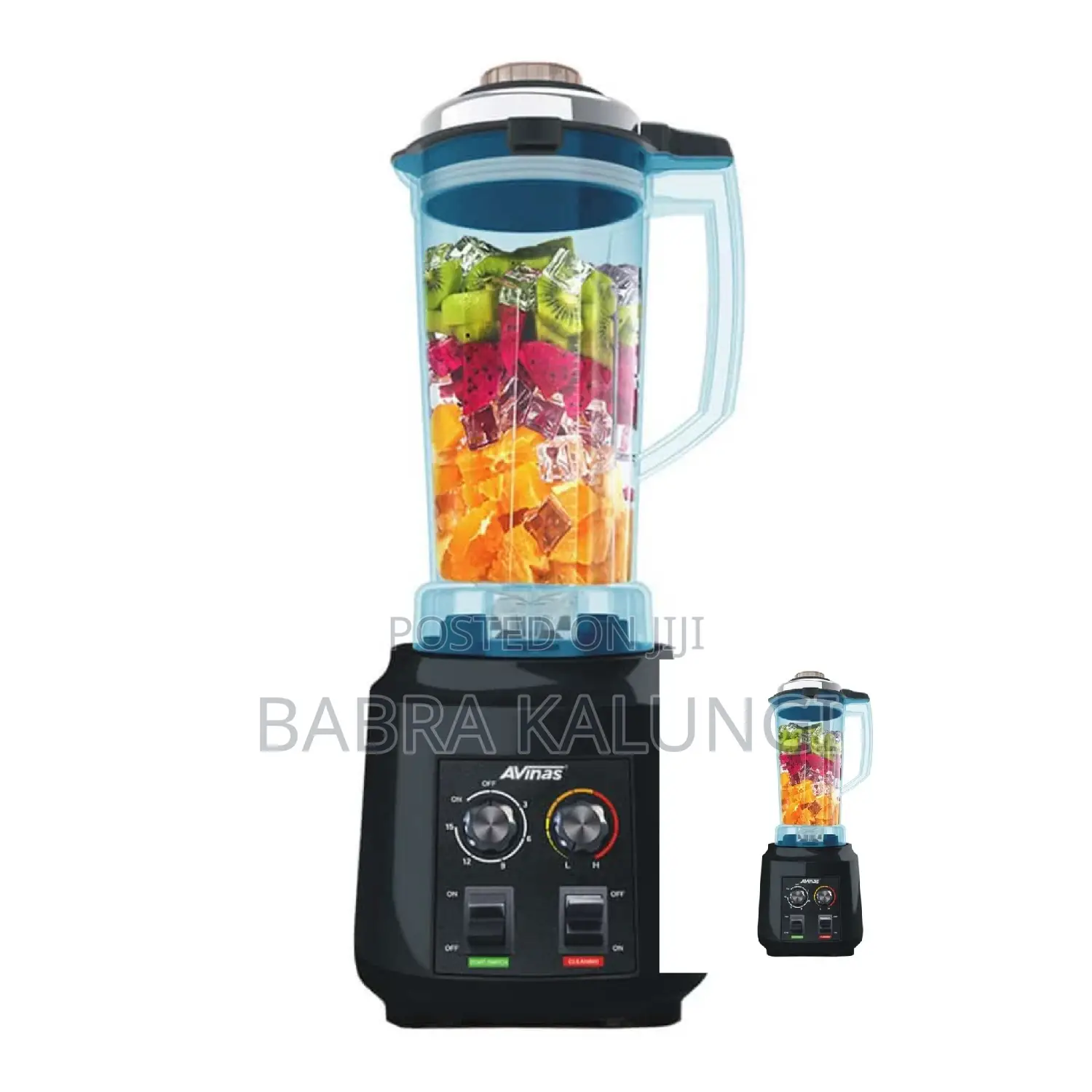 Avinas Commercial Blender