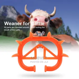 Calf Suckling Preventers.