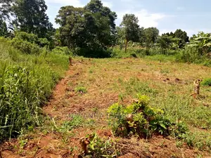Plots for Sale at Namugongo Bukerere