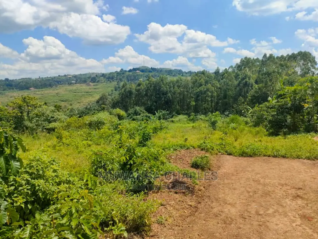 Plot's for Sale at Bukerere