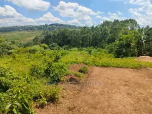 Plot's for Sale at Bukerere