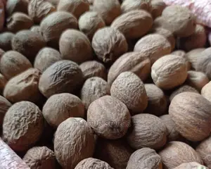 Nutmeg Seeds and Powder