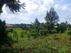 Plot's for Sale at Kira