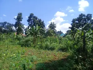 Plot's for Sale at Kira