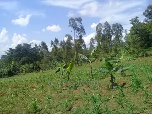 Plot's for Sale at Kira