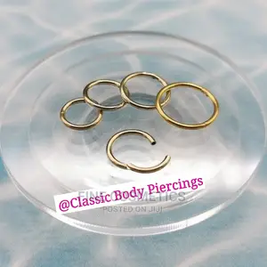 1pc Original Nose Ring Titanium Segment Clicker Seamles Hoop