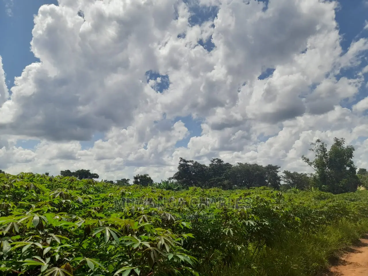 Plot for Sale at Gayaza Road Busiika