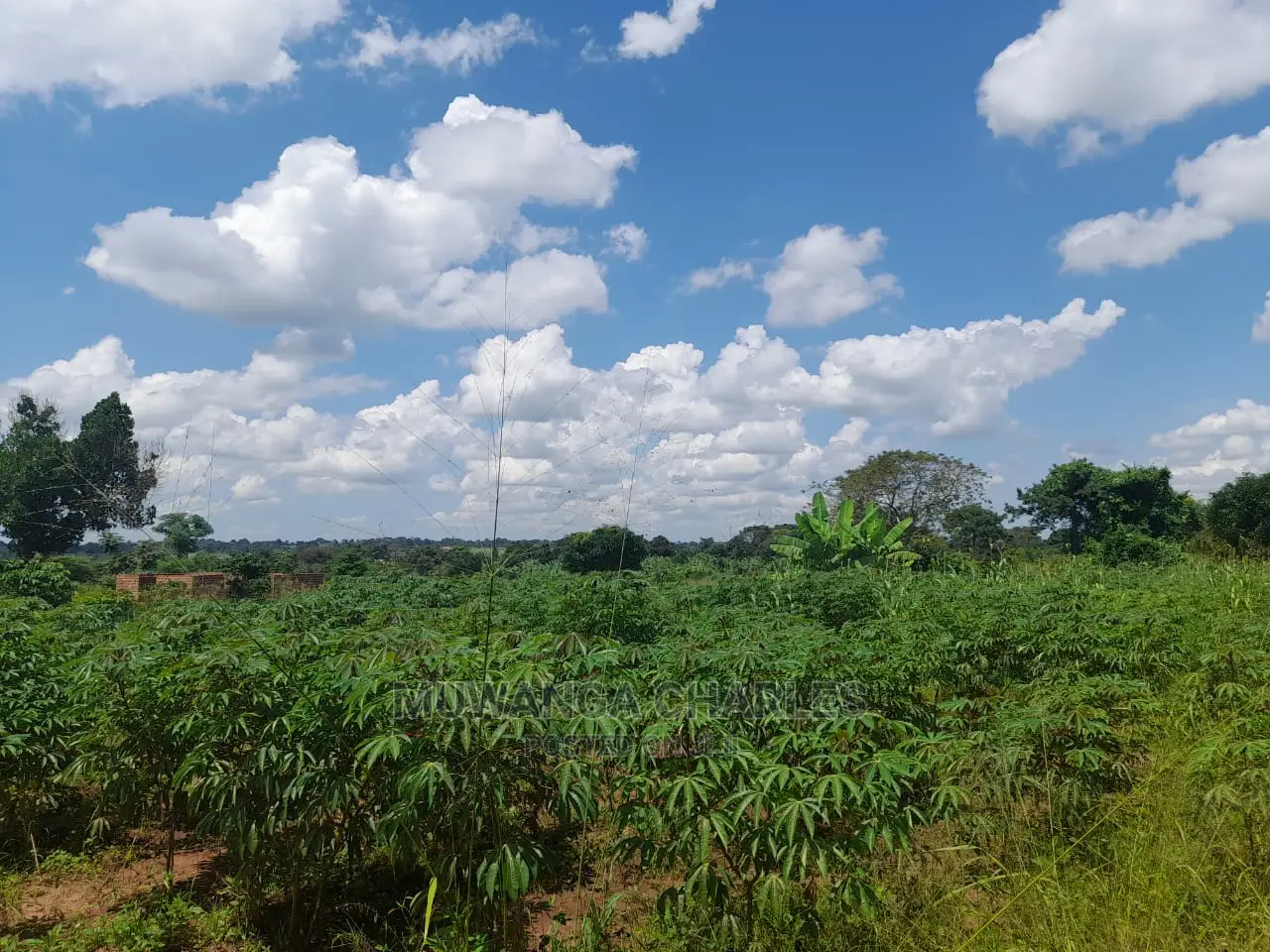 Plot for Sale at Gayaza Road Busiika