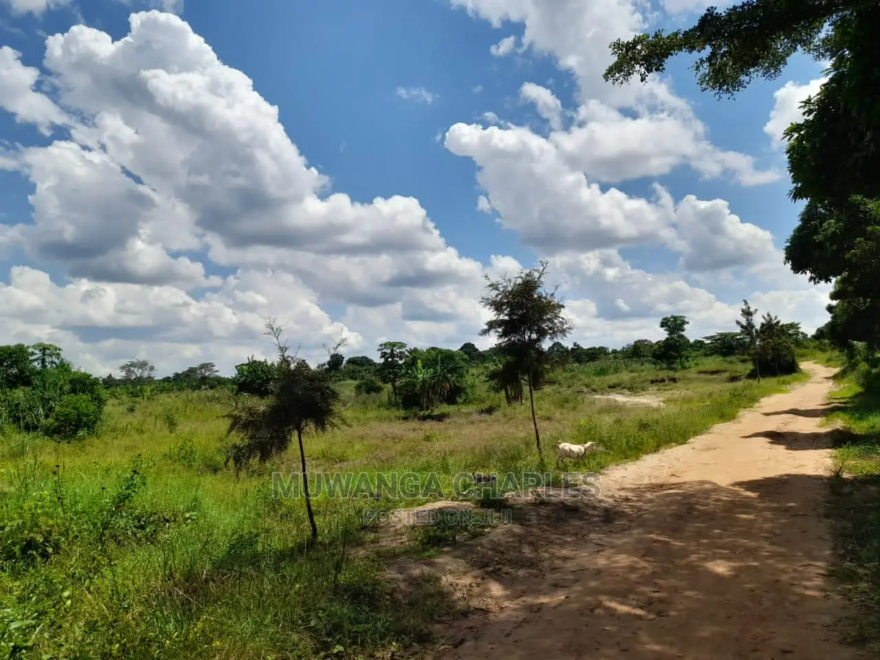 Plot for Sale at Gayaza Road Busiika