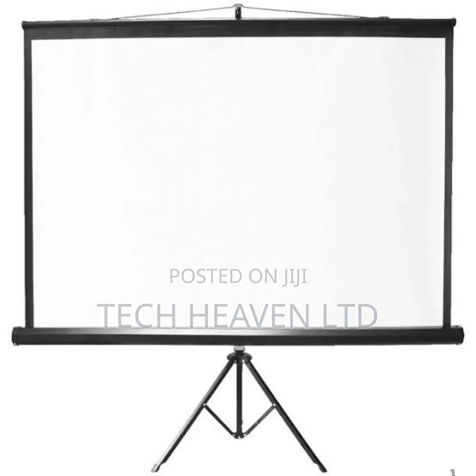 Projector Screens - Tripod and Wall Mounted