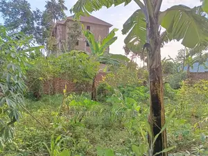 Plots in Kira Kitukutwe for Sale