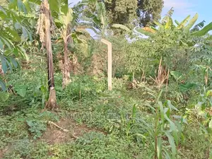 Plots in Kira Kitukutwe for Sale