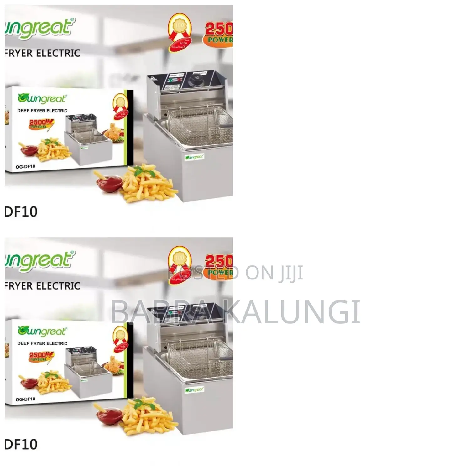 Wngreat Electric Deep Fryer