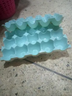 Egg Try, Melamine , Medium Size