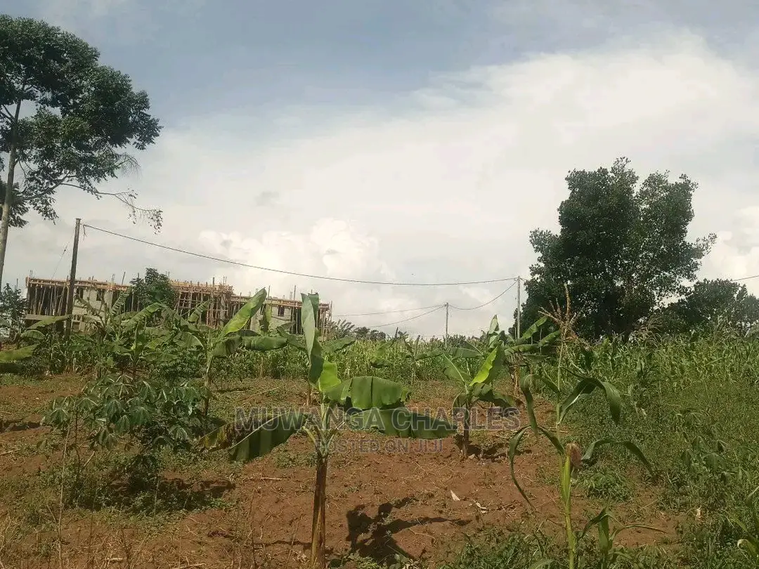 Plots in Gayaza Kimwanyi