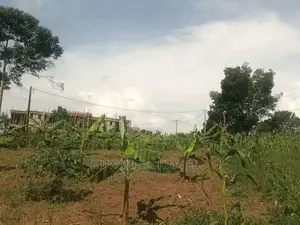 Plots in Gayaza Kimwanyi