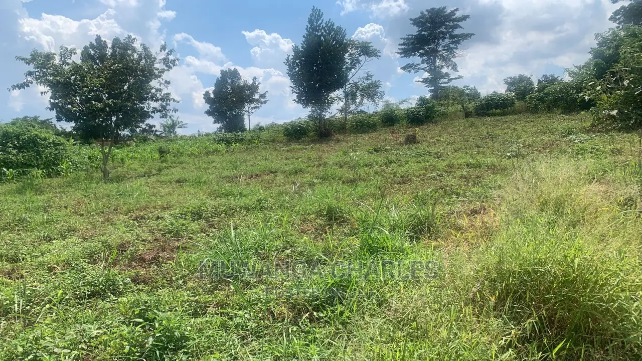 Plots in Gayaza Busiika for Sale