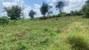 Plots in Gayaza Busiika for Sale