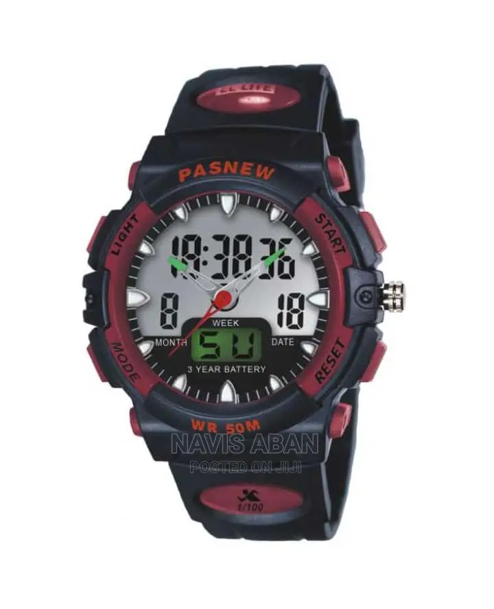 Pasney Watch