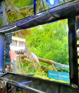 Hisense 55inch Smart Tv: 1