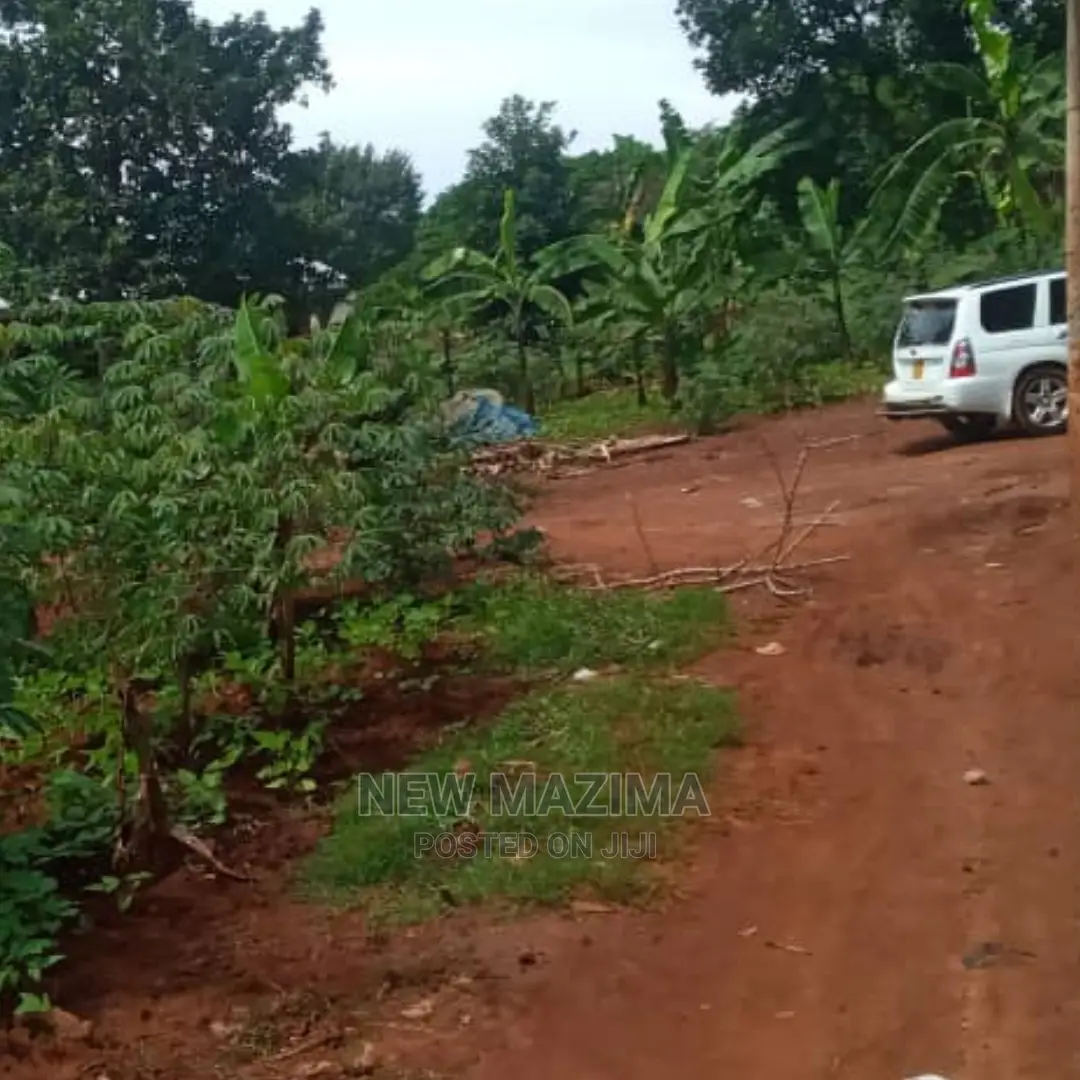 Affordable Sweet Plot With Lake View Onquicksale in Munyonyo