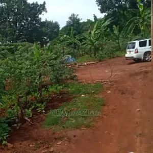 Affordable Sweet Plot With Lake View Onquicksale in Munyonyo