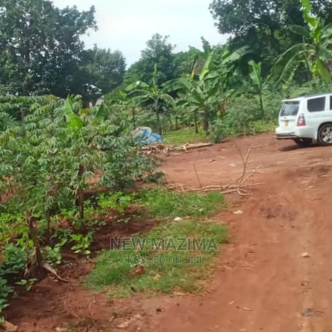 Affordable Sweet Plot With Lake View Onquicksale in Munyonyo