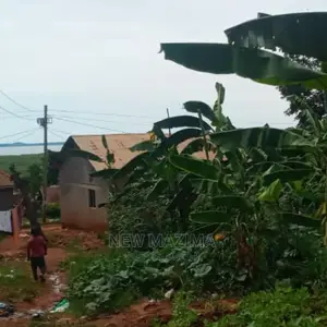 Affordable Sweet Plot With Lake View Onquicksale in Munyonyo